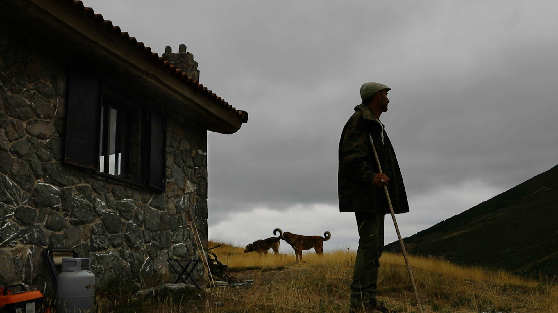 Juan y sus ovejas, pastor protagonista de Sharing the Land por Hakawatifilm dirigido por Ofelia de Pablo y Javier Zurita