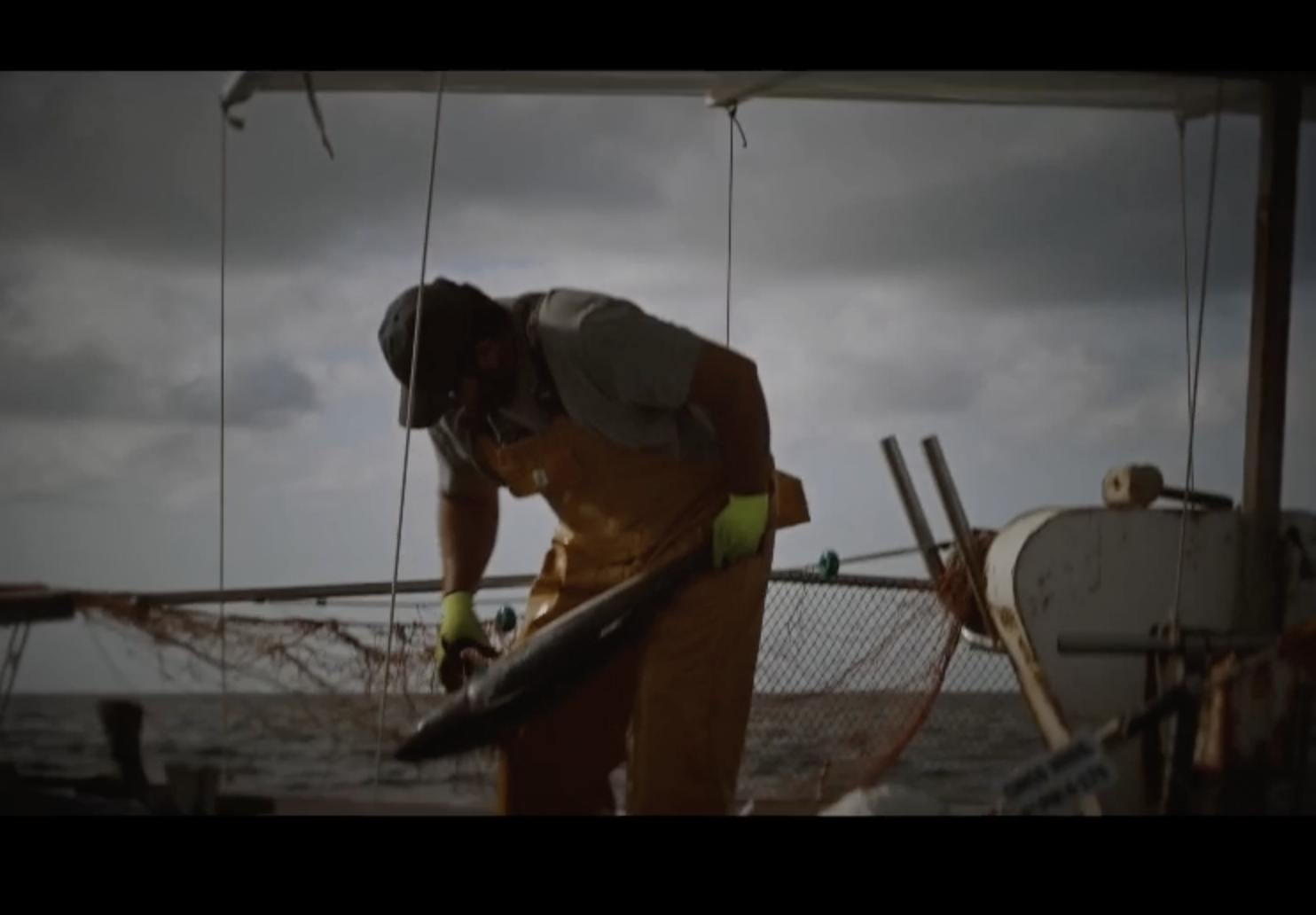 pesca, sostenibilidad, hakawatifilm. ofelia de pablo, javier zurita